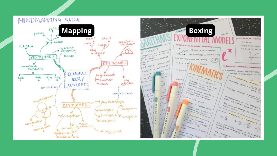 “10th Grade Social Studies Notes: Learn and Succeed with Easy Tips”